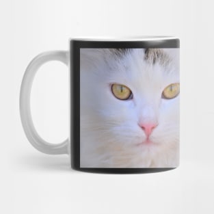 Merrill Mug